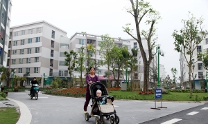 TP.HCM ban hành quy chế ban chỉ đạo phát triển nhà ở xã hội