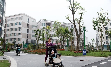TP.HCM ban hành quy chế ban chỉ đạo phát triển nhà ở xã hội