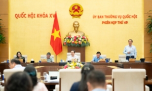 Luật An ninh mạng sửa đổi mở ra nhiều cơ hội cho doanh nghiệp Việt trong kỷ nguyên số