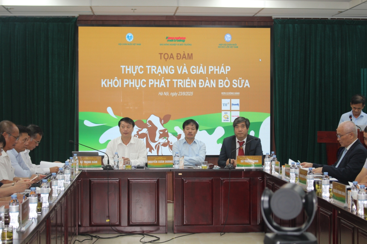 Quang cảnh toạ đàm. Ảnh Chu Khôi.