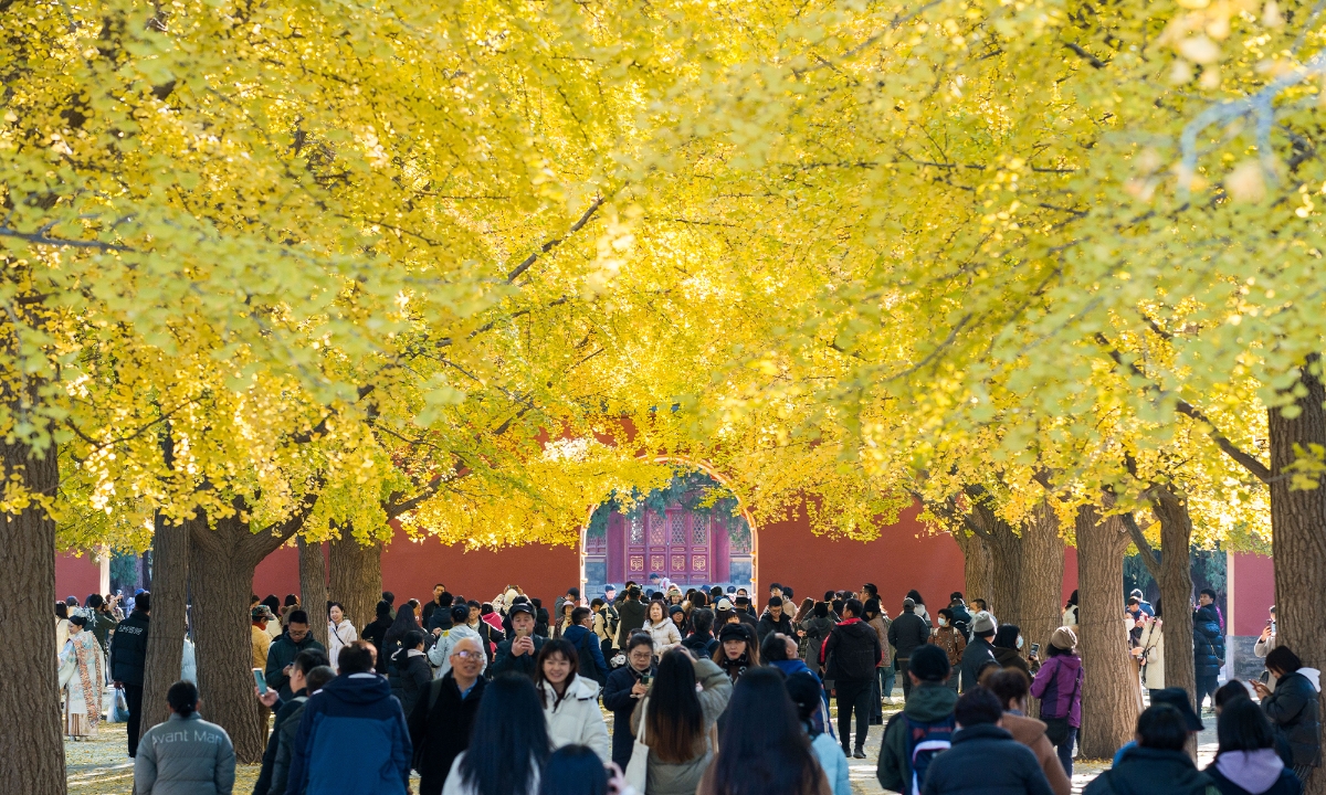 Các tour quốc tế ngắm lá vàng, lá đỏ mùa thu rất được du khách ưa chuộng.