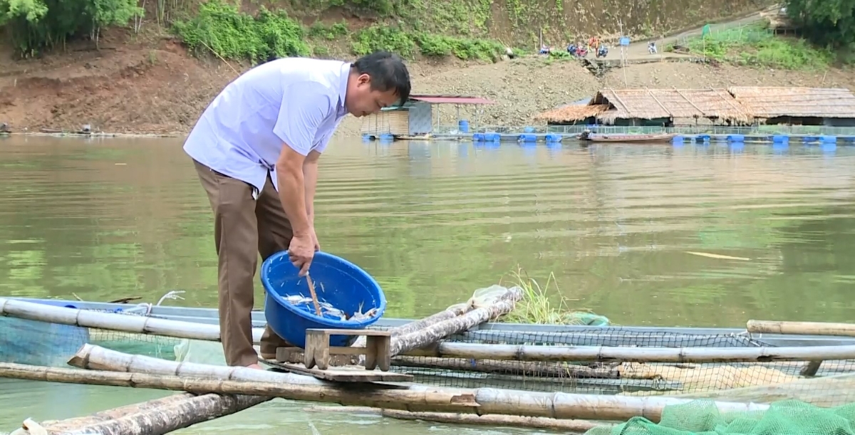 Những năm gần đây, nghề nuôi cá lồng ở xã Trung Sơn đang phát triển mạnh nhờ khai thác tiềm năng, lợi thế của lòng hồ thuỷ điện, mang lại hiệu quả kinh tế cao.