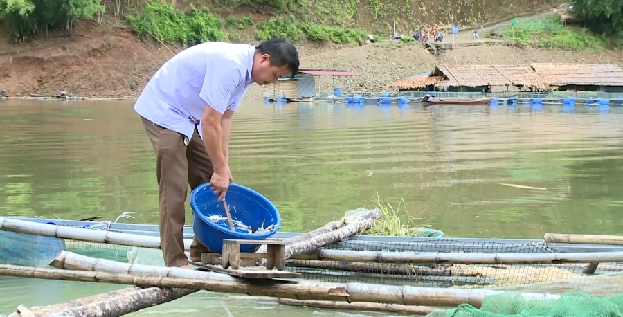 Những năm gần đây, nghề nuôi cá lồng ở xã Trung Sơn đang phát triển mạnh nhờ khai thác tiềm năng, lợi thế của lòng hồ thuỷ điện, mang lại hiệu quả kinh tế cao.