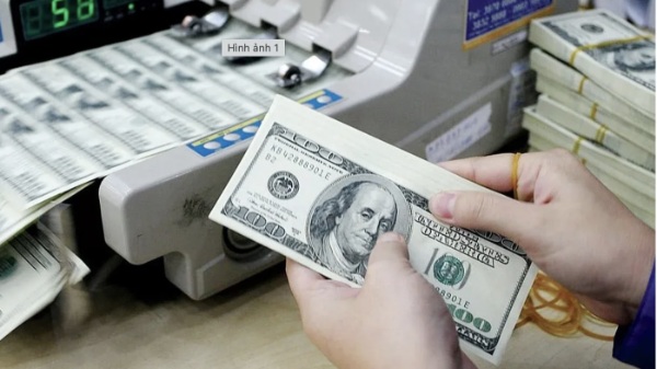 Tỷ giá tự do tăng 1,82% trong nửa đầu tháng 10