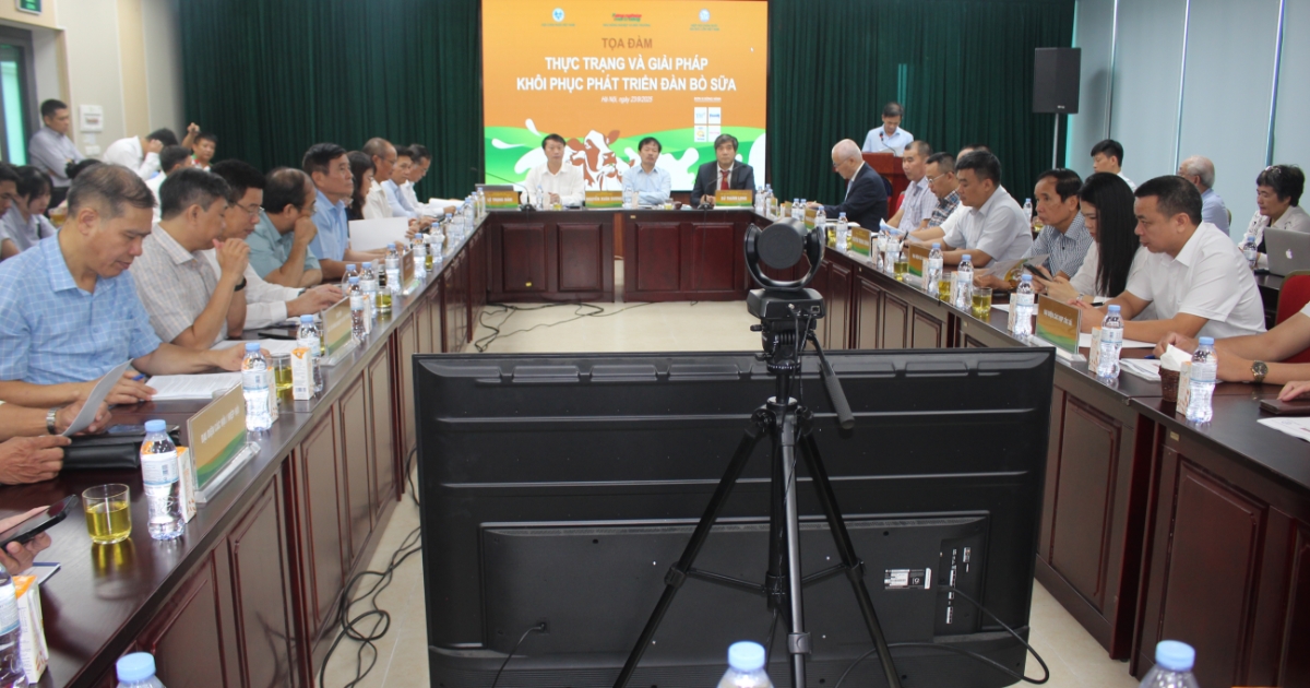 Ngành bò sữa Việt Nam trước ngã rẽ: “Giữ đàn hay mất sữa?”