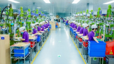 Nghe An attracts over $4 bln in investment from Chinese enterprises