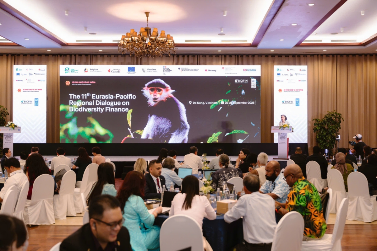 Quanh cảnh hội nghị.