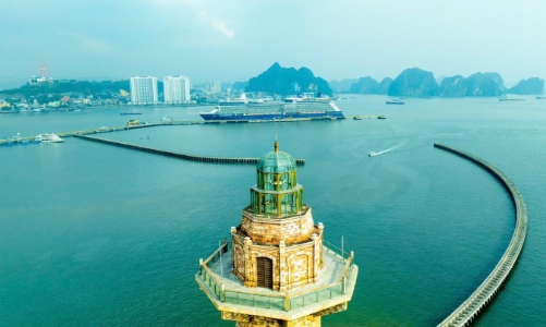 Quảng Ninh đẩy mạnh du lịch tàu biển, hút khách cao cấp