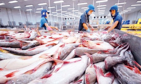 Chính sách “thông thoáng” của EU chỉ mở ra cơ hội cho hàng hóa Việt Nam trong ngắn hạn
