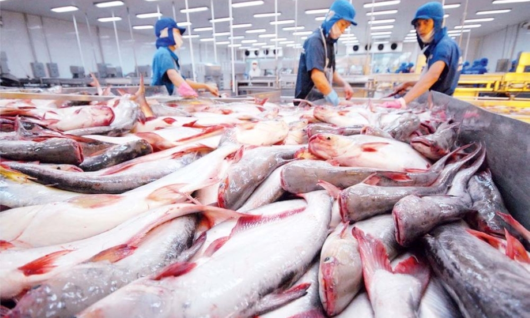 Nếu Việt Nam giải quyết được việc tháo gỡ thẻ vàng trong năm nay sẽ tạo điều kiện rất tốt để phát triển thủy hải sản đánh bắt.