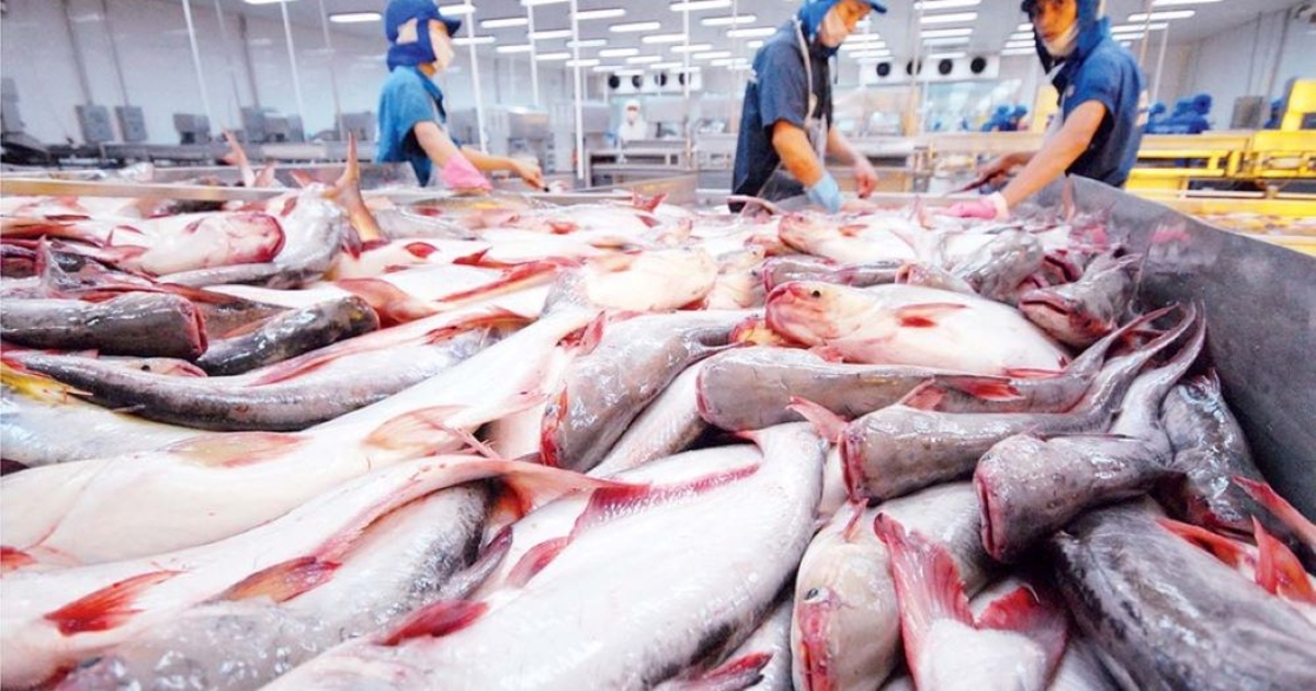 Chính sách “thông thoáng” của EU chỉ mở ra cơ hội cho hàng hóa Việt Nam trong ngắn hạn