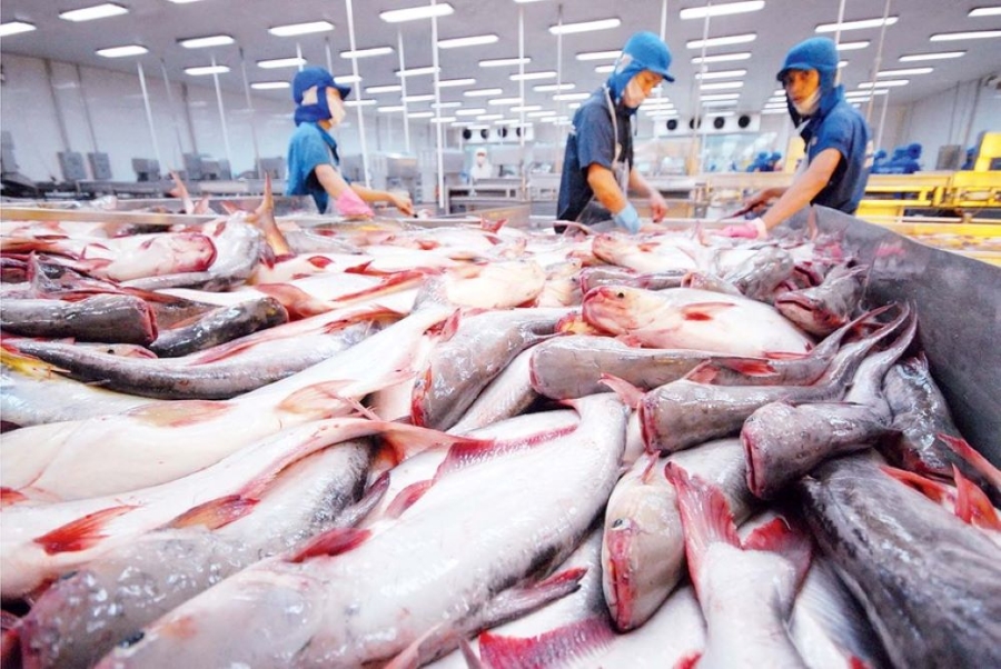 Nếu Việt Nam giải quyết được việc tháo gỡ thẻ vàng trong năm nay sẽ tạo điều kiện rất tốt để phát triển thủy hải sản đánh bắt.