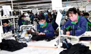 Hơn 1/2 dân số thế giới đã được hưởng lương hưu hoặc bảo hiểm thất nghiệp