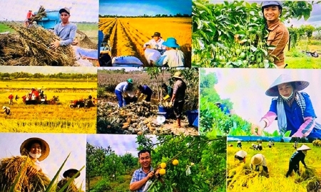 Nông dân phải là chủ thể tham gia vào toàn bộ chuỗi giá trị nông nghiệp