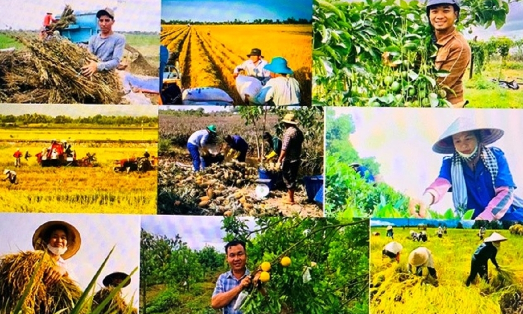 Nông dân không chỉ là lực lượng trực tiếp làm ra nông sản, mà còn là chủ thể tham gia vào toàn bộ chuỗi giá trị nông nghiệp
