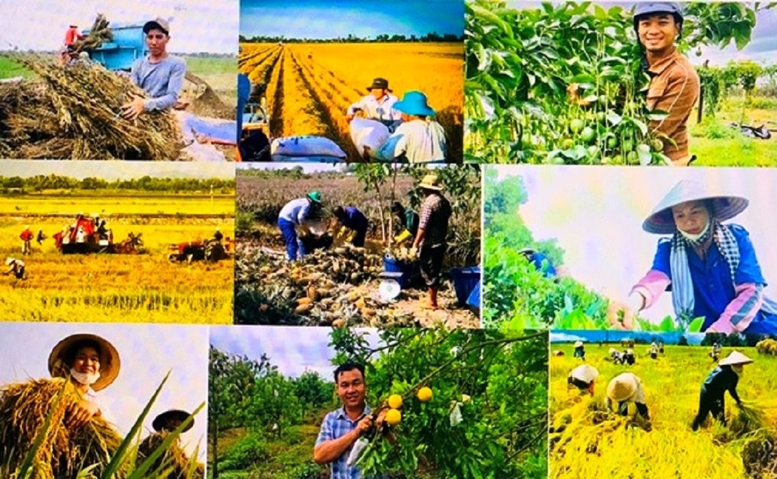 Nông dân không chỉ là lực lượng trực tiếp làm ra nông sản, mà còn là chủ thể tham gia vào toàn bộ chuỗi giá trị nông nghiệp