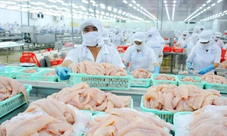 Cá tra Việt Nam lần đầu góp mặt trong thực đơn của chuỗi sushi nổi tiếng Nhật Bản