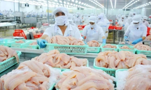 Cá tra Việt Nam lần đầu góp mặt trong thực đơn của chuỗi sushi nổi tiếng Nhật Bản