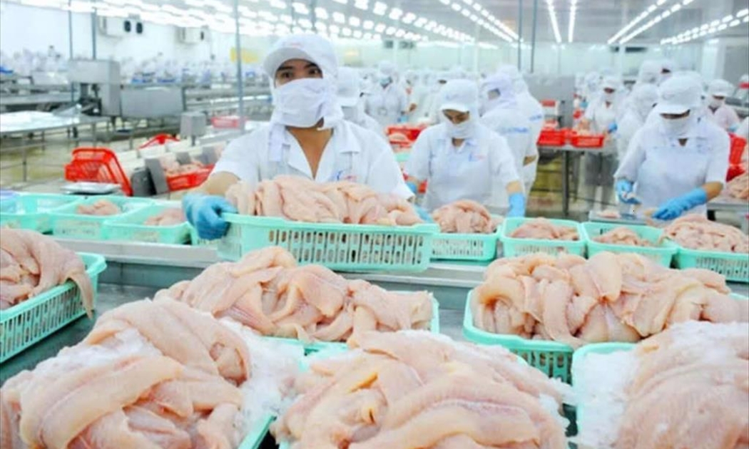 Cá tra Việt chủ yếu được xuất khẩu sang Nhật dưới dạng phi lê.
