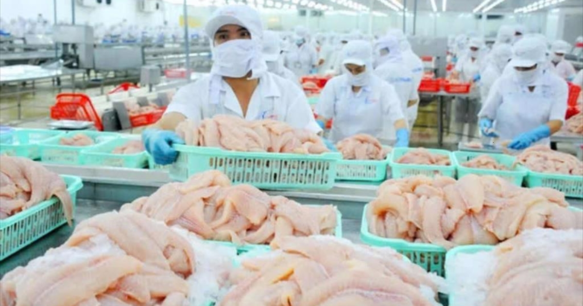 Cá tra Việt Nam lần đầu góp mặt trong thực đơn của chuỗi sushi nổi tiếng Nhật Bản