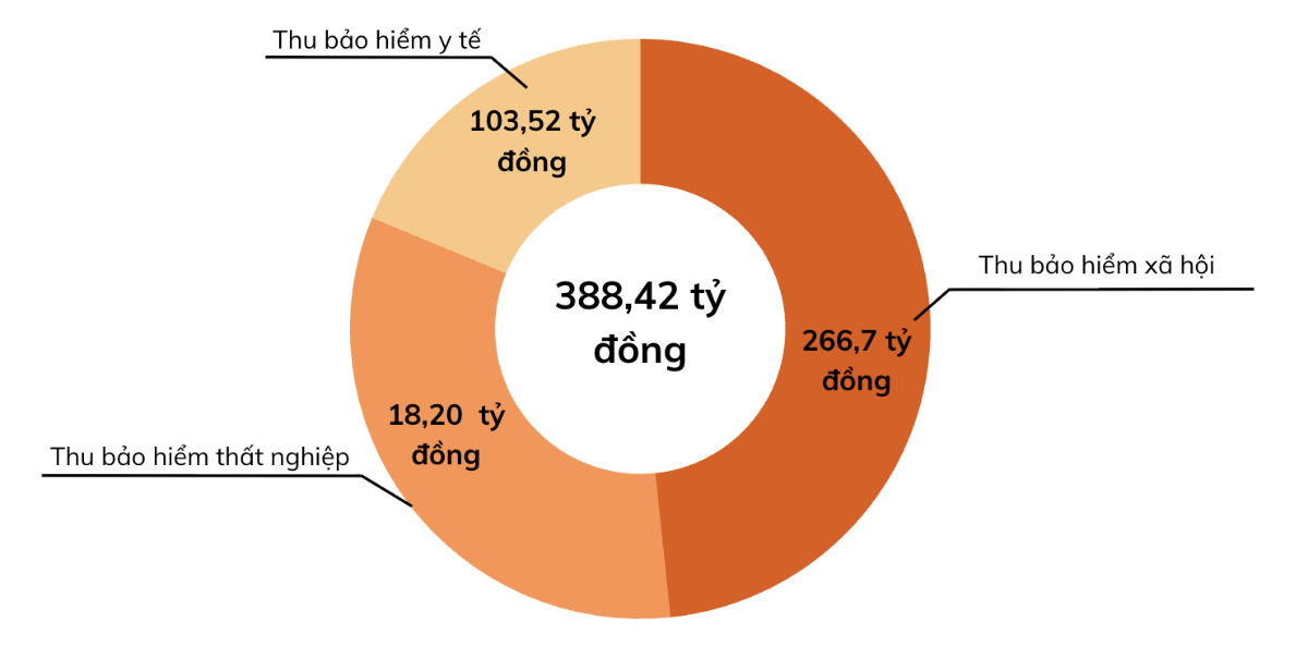 Cơ cấu thu bảo hiểm các chế độ. Nguồn: Bộ Tài chính