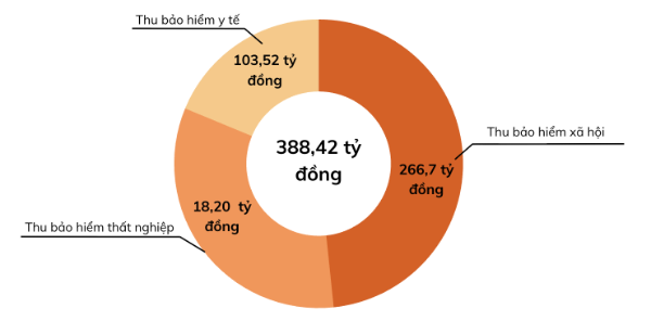 Cơ cấu thu bảo hiểm các chế độ. Nguồn: Bộ Tài chính