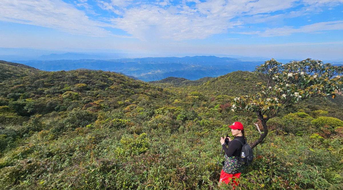 Đỉnh Voi Mẹp có quang cảnh tuyệt đẹp với hệ sinh thái đa dạng.