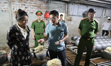 Phát hiện cơ sở dùng chất cấm sản xuất giá đỗ tại Hà Tĩnh
