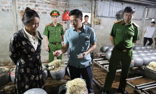 Phát hiện cơ sở dùng chất cấm sản xuất giá đỗ tại Hà Tĩnh
