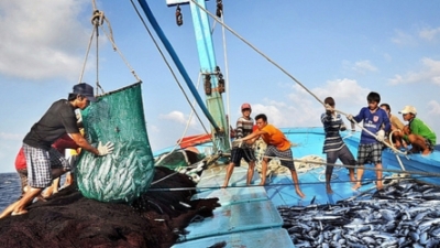 Vietnam calls on US to review ruling on 12 fisheries