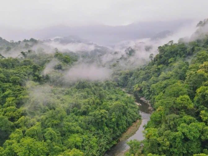 Động Châu – Khe Nước Trong trải rộng hơn 22.000 ha, là một trong những khu vực giàu tài nguyên sinh học nhất của dãy Trường Sơn.