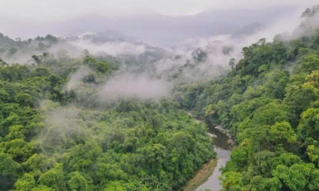 Động Châu – Khe Nước Trong trải rộng hơn 22.000 ha, là một trong những khu vực giàu tài nguyên sinh học nhất của dãy Trường Sơn.