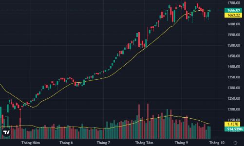 Dòng tiền vòng sang cổ phiếu vừa và nhỏ