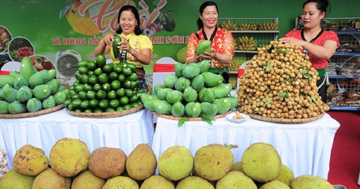Giám sát số VietGAP cho nông hộ Tây Bắc hướng đến thị trường xuất khẩu