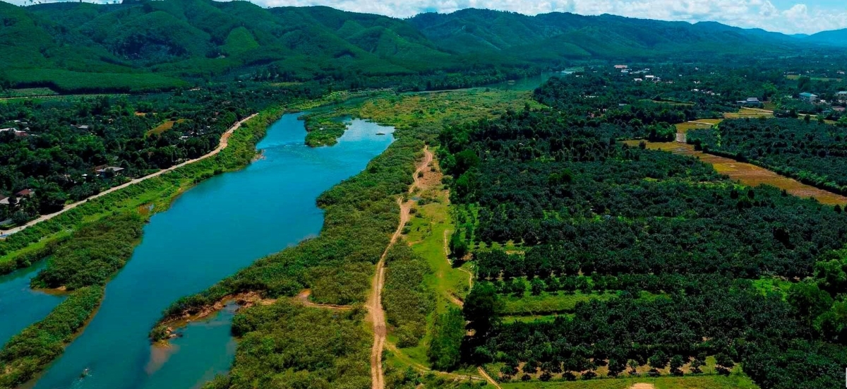 Vùng trồng bưởi Phúc Trạch.