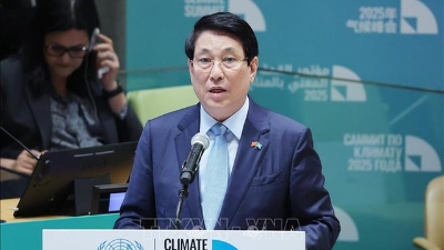 Vietnam urges countries to implement climate finance commitments at Climate Summit 2025
