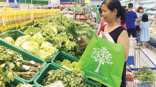 Xu hướng tiêu dùng xanh mở ra cánh cửa lớn cho nhà sản xuất