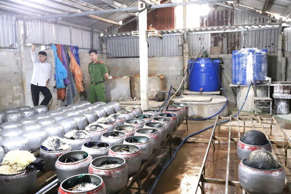 Công an tỉnh Hà Tĩnh đã tiến hành lập hồ sơ vụ việc, thu giữ toàn bộ số giá đỗ vi phạm