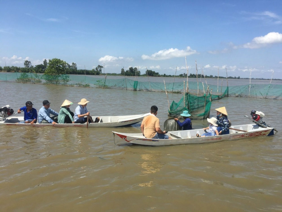 Tham quan khu vực bảo tồn cá tự nhiên tại Khu bảo tồn Thủy sản An Bình.