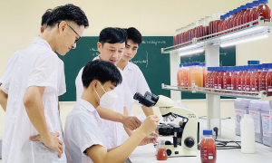 Ba trụ cột thúc đẩy phát triển nhân lực trong kỷ nguyên xanh và số