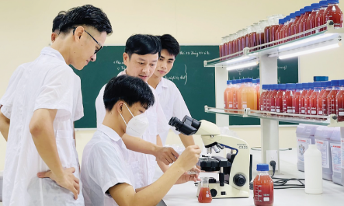 Ba trụ cột thúc đẩy phát triển nhân lực trong kỷ nguyên xanh và số