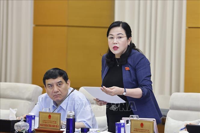 Chủ nhiệm Ủy ban Công tác đại biểu của Quốc hội Nguyễn Thanh Hải trình bày tóm tắt báo cáo thẩm tra. Ảnh: TTXVN.