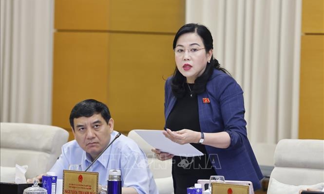 Chủ nhiệm Ủy ban Công tác đại biểu của Quốc hội Nguyễn Thanh Hải trình bày tóm tắt báo cáo thẩm tra. Ảnh: TTXVN.