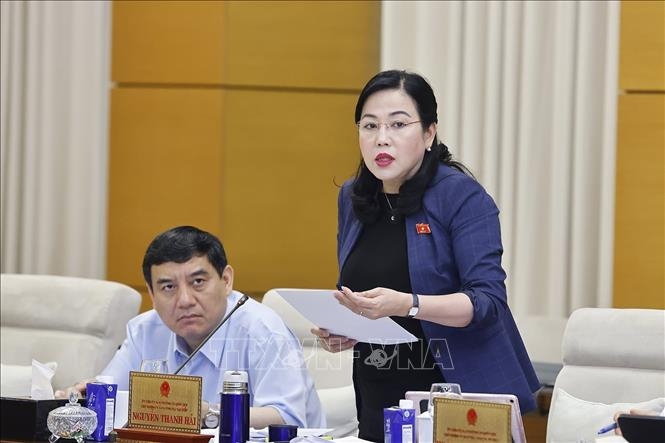 Chủ nhiệm Ủy ban Công tác đại biểu của Quốc hội Nguyễn Thanh Hải trình bày tóm tắt báo cáo thẩm tra. Ảnh: TTXVN.