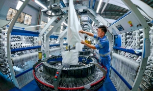Việt Nam đang trở thành đối tác cung ứng nhân lực lâu dài cho Phần Lan