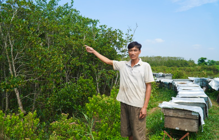 Mùa hoa sú vẹt trắng xóa ven cửa sông – “vựa mật” thiên nhiên.