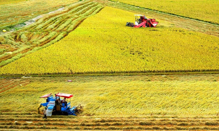 Đồng bằng sông Cửu Long rất có tiềm năng phát triển du lịch canh nông.