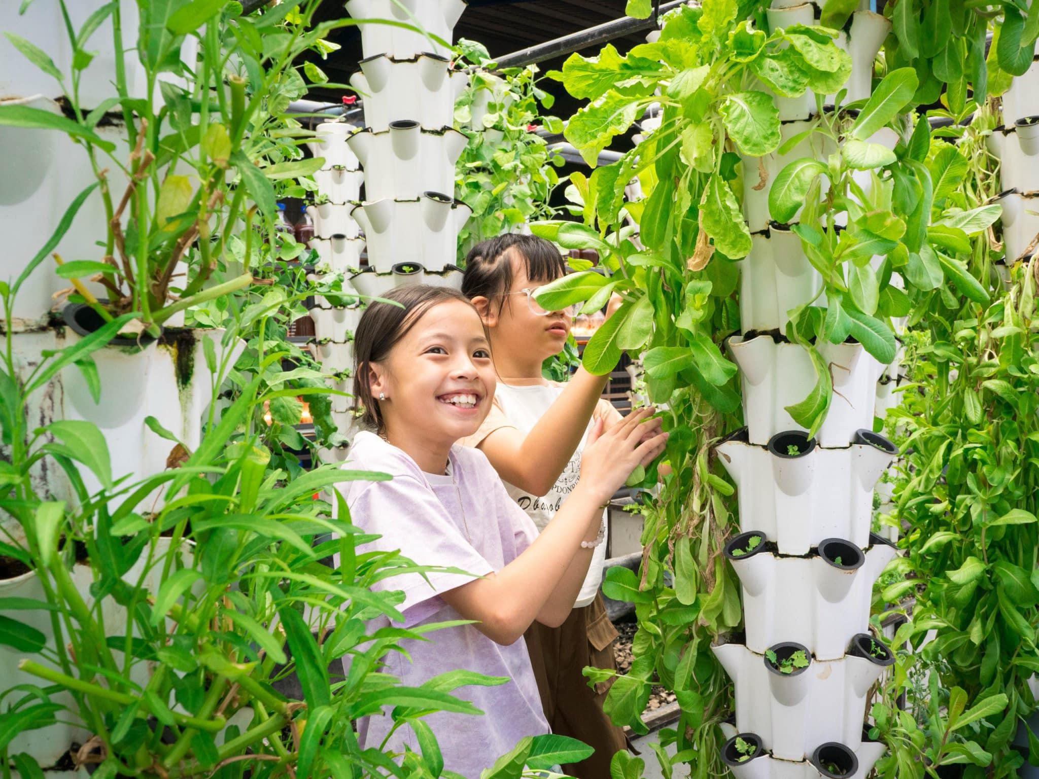 Mô hình nông nghiệp công nghệ cao tại Nông trại Suối Gạo rất thu hút du khách.