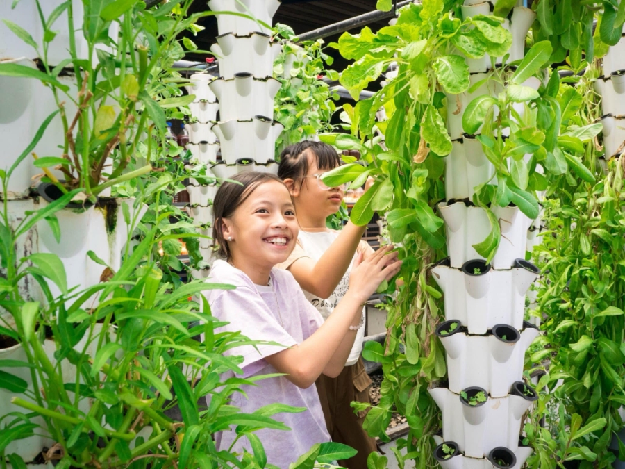 Mô hình nông nghiệp công nghệ cao tại Nông trại Suối Gạo rất thu hút du khách.