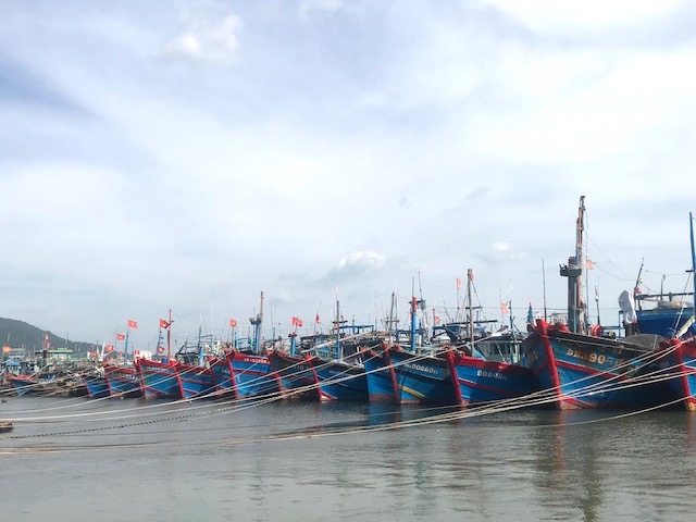 Tàu cá tránh bão tại Âu thuyền Thọ Quang. Ảnh Ngô Anh Văn